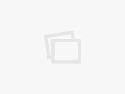 AMSOIL Ads Additional Car Care Detailing Products